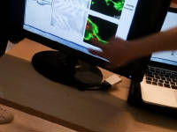 Click for larger image.