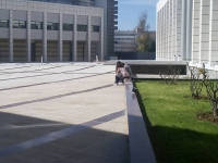 Click for larger image.