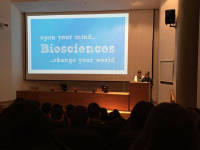 Click for larger image.