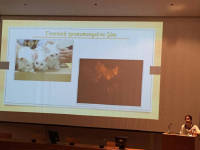 Click for larger image.