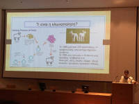 Click for larger image.