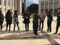 Click for larger image.