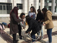 Click for larger image.