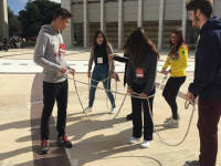 Click for larger image.