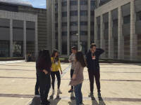 Click for larger image.