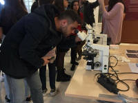 Click for larger image.