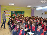 Click for larger image.