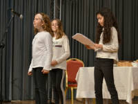 Click for larger image.