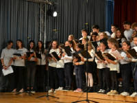 Click for larger image.