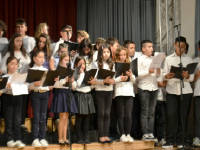 Click for larger image.