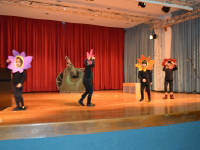 Click for larger image.