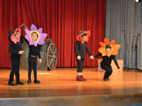 Click for larger image.