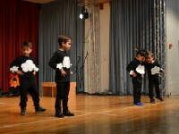 Click for larger image.