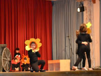 Click for larger image.