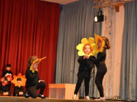 Click for larger image.