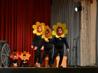 Click for larger image.