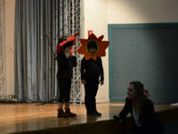 Click for larger image.