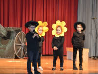 Click for larger image.