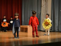 Click for larger image.