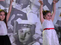 Click for larger image.