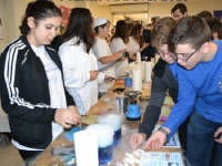 Click for larger image.