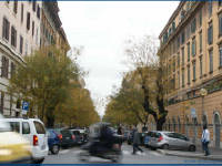 Click for larger image.