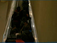 Click for larger image.