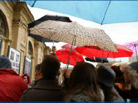 Click for larger image.