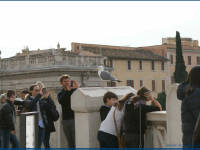 Click for larger image.