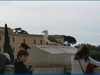 Click for larger image.