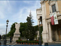 Click for larger image.