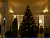 Click for larger image.