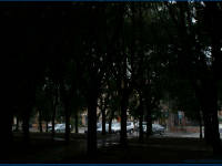 Click for larger image.