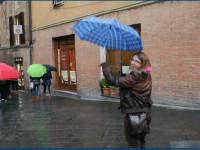 Click for larger image.