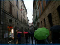 Click for larger image.