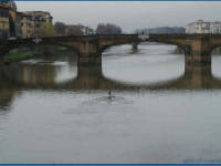 Click for larger image.