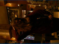 Click for larger image.