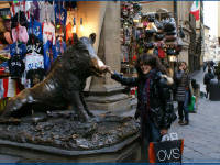 Click for larger image.