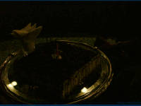 Click for larger image.