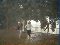 Click for larger image.