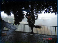 Click for larger image.