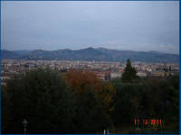 Click for larger image.